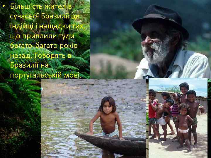  • Більшість жителів сучасної Бразилії це індійці і нащадки тих, що приплили туди