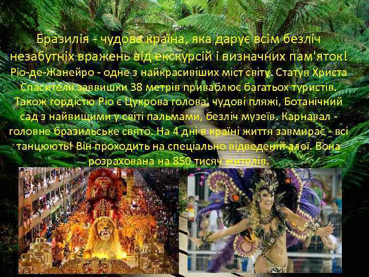 Бразилія - чудова країна, яка дарує всім безліч незабутніх вражень від екскурсій і визначних