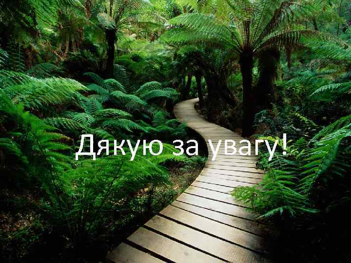 Дякую за увагу! 