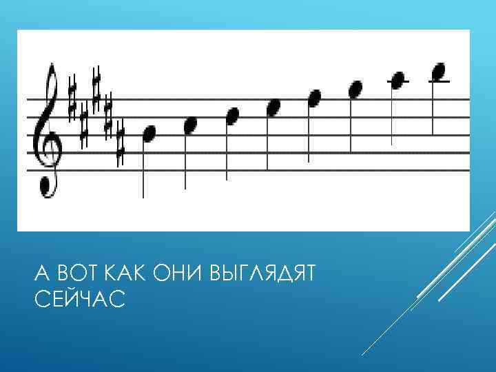 А ВОТ КАК ОНИ ВЫГЛЯДЯТ СЕЙЧАС 