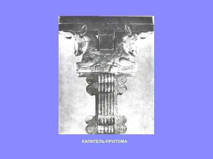 КАПИТЕЛЬ-ПРОТОМА 