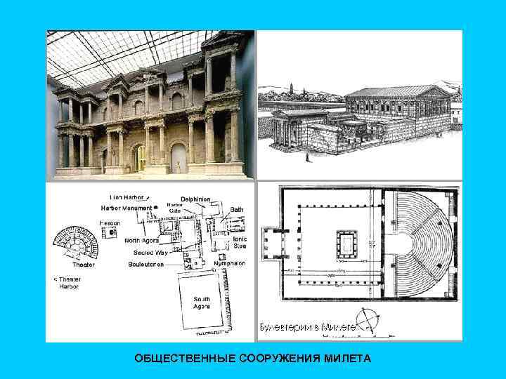 ОБЩЕСТВЕННЫЕ СООРУЖЕНИЯ МИЛЕТА 