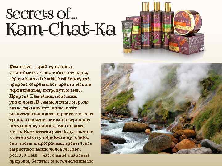 Камчатка – край вулканов и альпийских лугов, тайги и тундры, гор и долин. Это