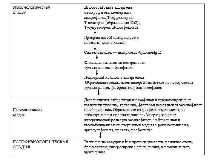 Иммунологическая стадия Взаимодействие аллергена с макрофагом, кооперация макрофагов, Т эффекторов, Т хелперов (образование ТҺ