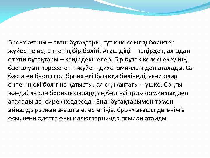 Бронх ағашы – ағаш бұтақтары, түтікше секілді бөліктер жүйесіне ие, өкпенің бір бөлігі. Ағаш