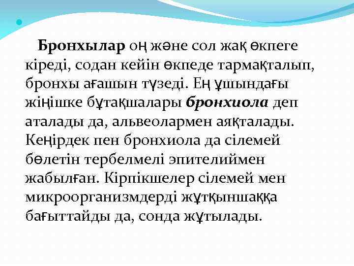  Бронхылар оң және сол жақ өкпеге кіреді, содан кейін өкпеде тармақталып, бронхы ағашын