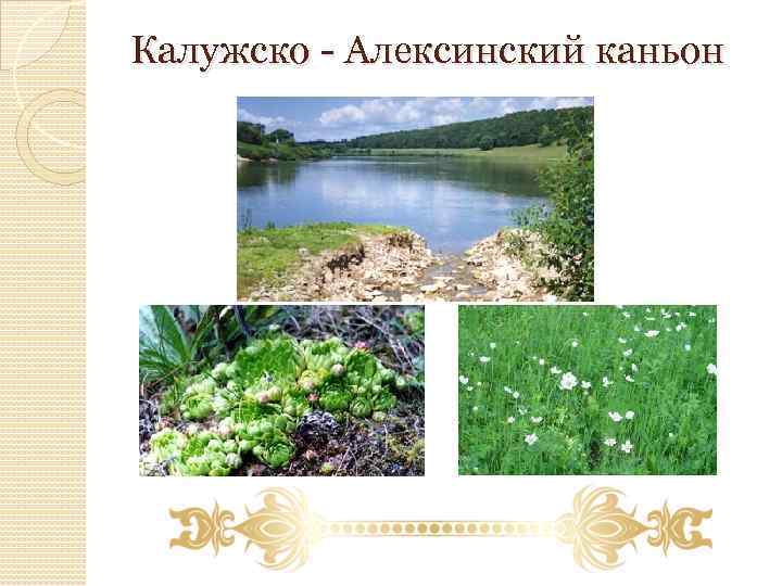 Калужско - Алексинский каньон 