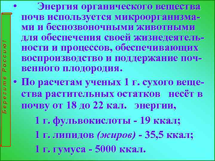 Берегите Россию! • Энергия органического вещества почв используется микроорганизмами и беспозвоночными животными для обеспечения