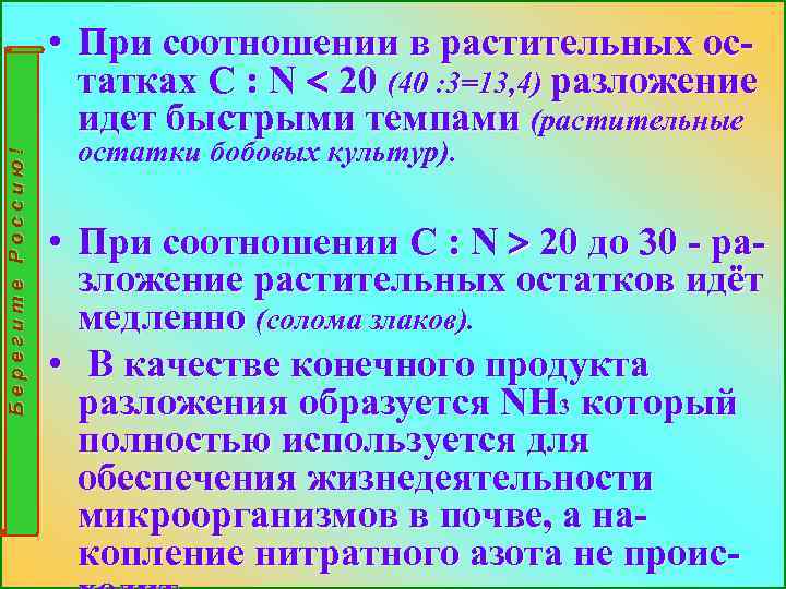 Берегите Россию! • При соотношении в растительных остатках С : N 20 (40 :