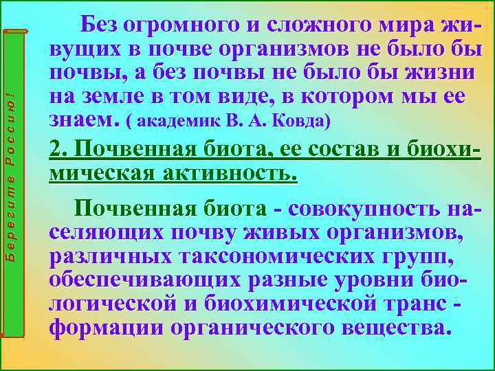 Берегите Россию! Без огромного и сложного мира живущих в почве организмов не было бы