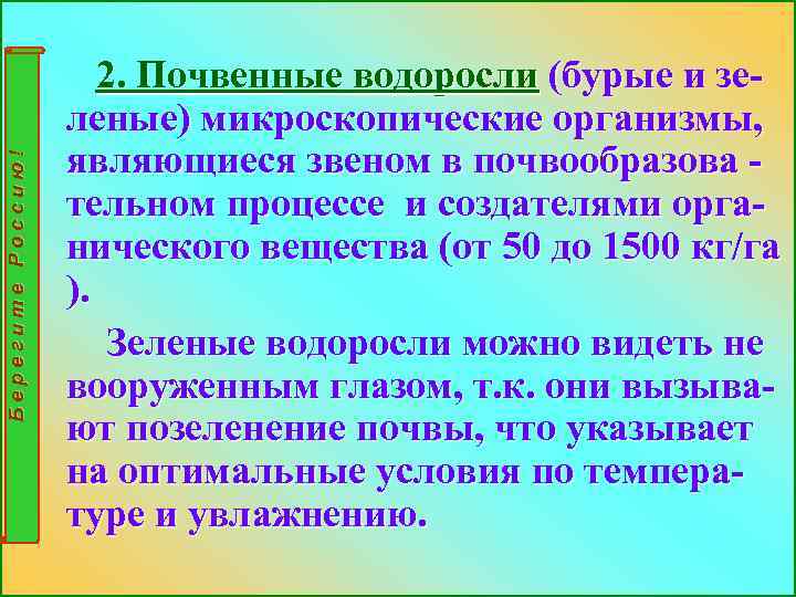 Берегите Россию! 2. Почвенные водоросли (бурые и зеленые) микроскопические организмы, являющиеся звеном в почвообразова