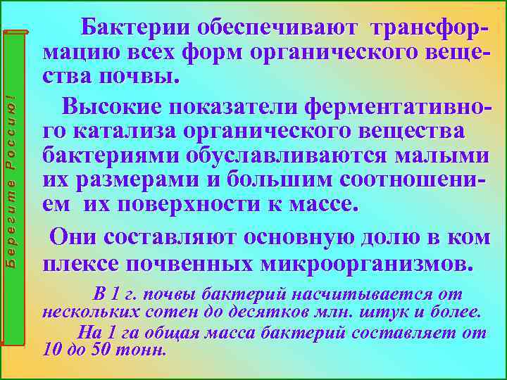 Берегите Россию! Бактерии обеспечивают трансформацию всех форм органического вещества почвы. Высокие показатели ферментативного катализа