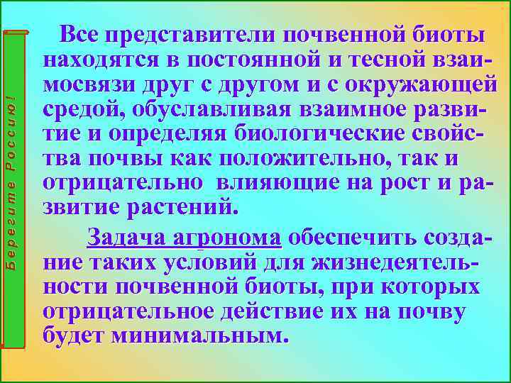 Берегите Россию! Все представители почвенной биоты находятся в постоянной и тесной взаимосвязи друг с