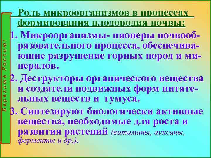 Берегите Россию! Роль микроорганизмов в процессах формирования плодородия почвы: 1. Микроорганизмы- пионеры почвообразовательного процесса,