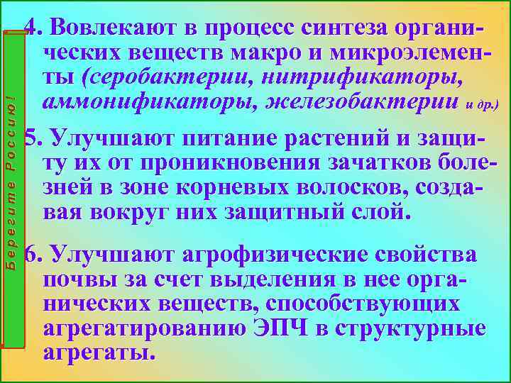 Берегите Россию! 4. Вовлекают в процесс синтеза органических веществ макро и микроэлементы (серобактерии, нитрификаторы,