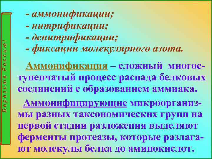 Берегите Россию! - аммонификации; - нитрификации; - денитрификации; - фиксации молекулярного азота. Аммонификация –