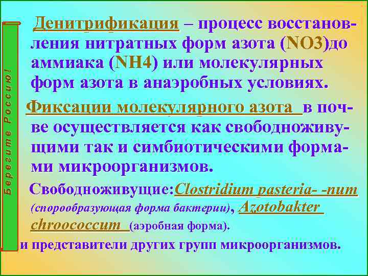 Берегите Россию! Денитрификация – процесс восстановления нитратных форм азота (NO 3)до ( аммиака (NH