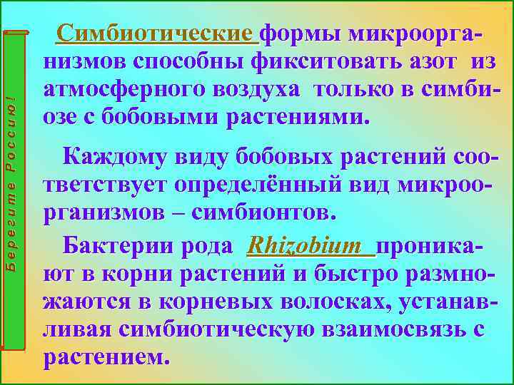 Берегите Россию! Симбиотические формы микроорганизмов способны фикситовать азот из атмосферного воздуха только в симбиозе