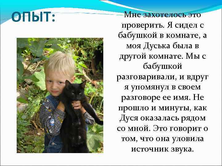 ОПЫТ: Мне захотелось это проверить. Я сидел с бабушкой в комнате, а моя Дуська