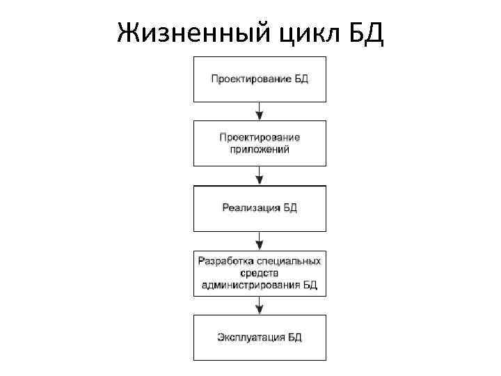 Презентация жизненный цикл базы данных