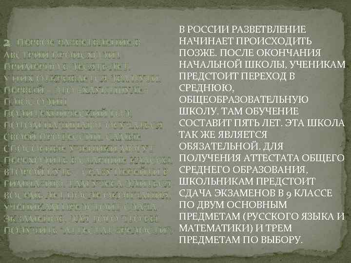 2. ПЕРВОЕ РАЗВЕТВЛЕНИЕ В АВСТРИИ ПРОИСХОДИТ ПРИМЕРНО В ДЕСЯТЬ ЛЕТ. У НИХ ОТКРЫВАЕТСЯ ДВА