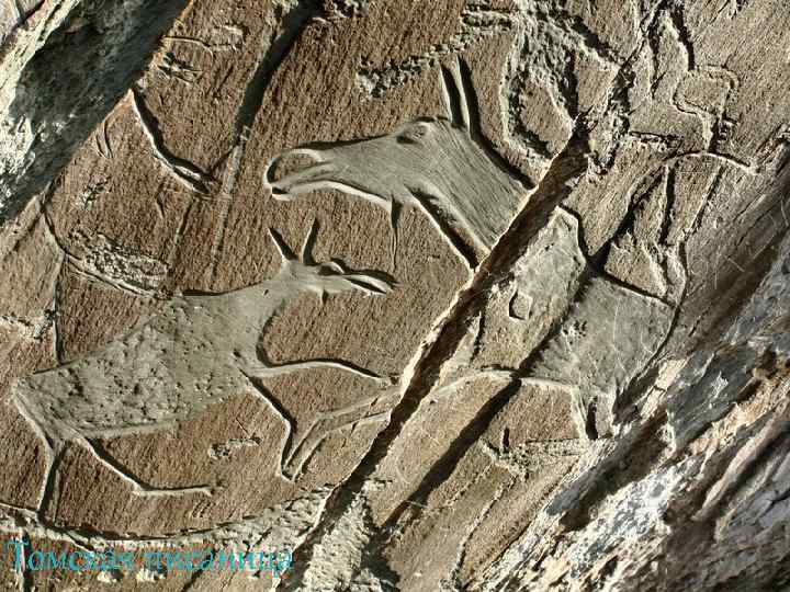 Томская писаница 