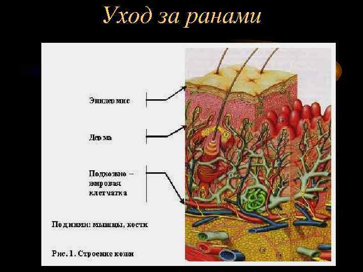 Уход за ранами 