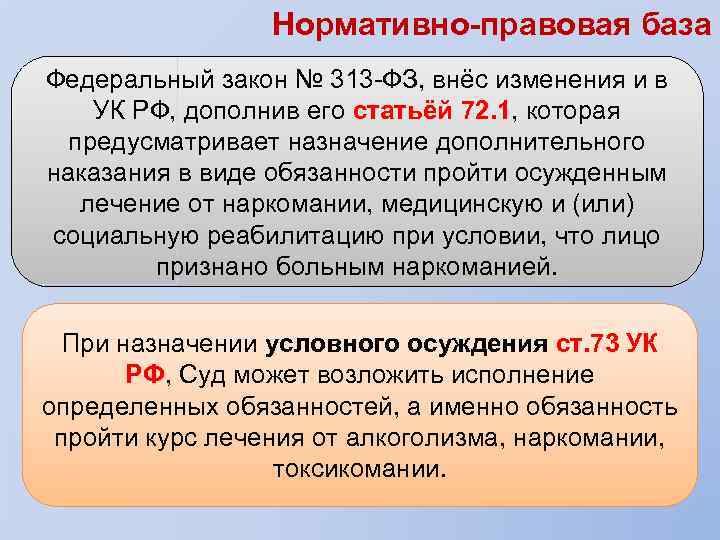 Нормативно-правовая база Федеральный закон № 313 -ФЗ, внёс изменения и в УК РФ, дополнив