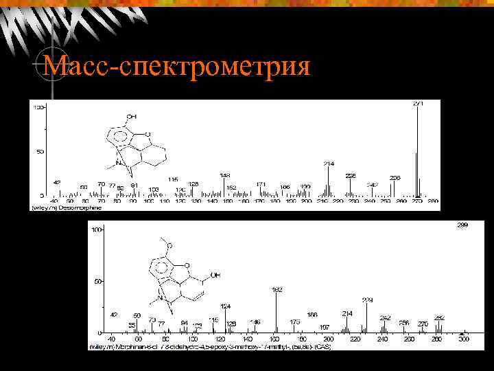 Масс-спектрометрия 
