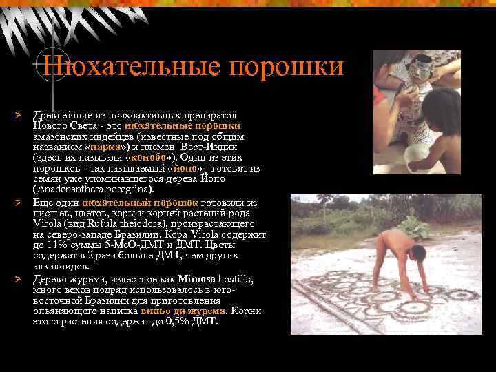 Нюхательные порошки Ø Ø Ø Древнейшие из психоактивных препаратов Нового Света - это нюхательные