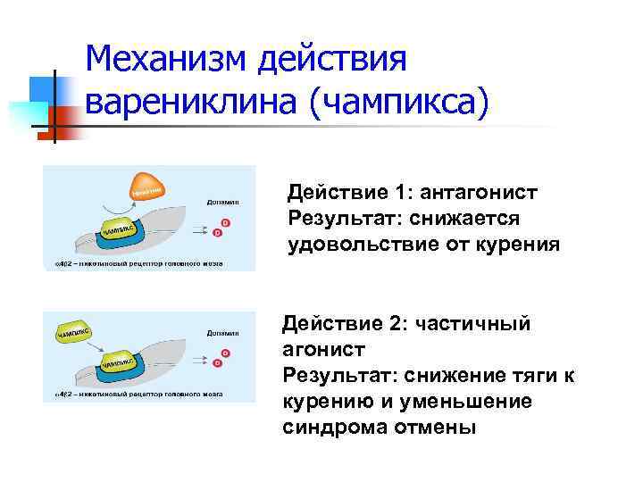 Механизм действия варениклина (чампикса) Действие 1: антагонист Результат: снижается удовольствие от курения Действие 2: