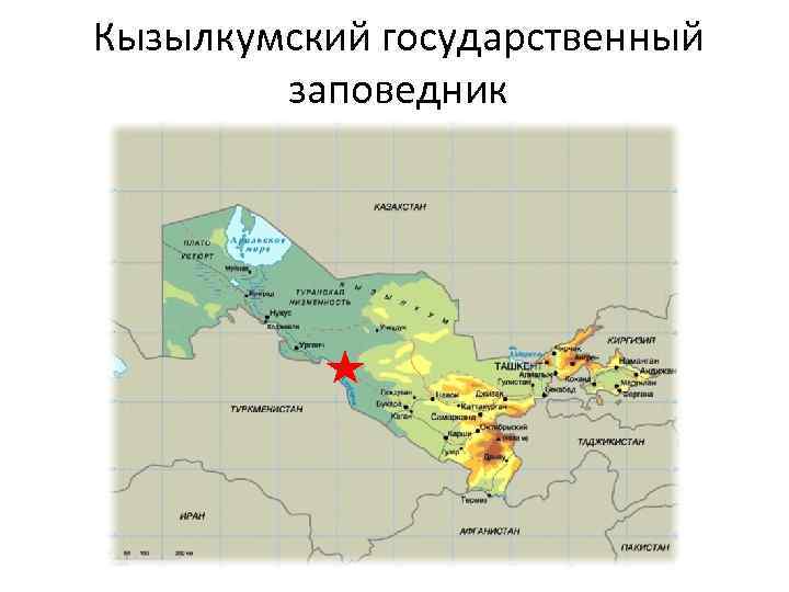 Кызылкумский государственный заповедник 