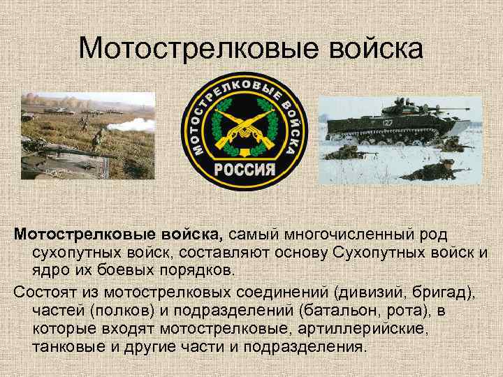 Мотострелковые войска, самый многочисленный род сухопутных войск, составляют основу Сухопутных войск и ядро их