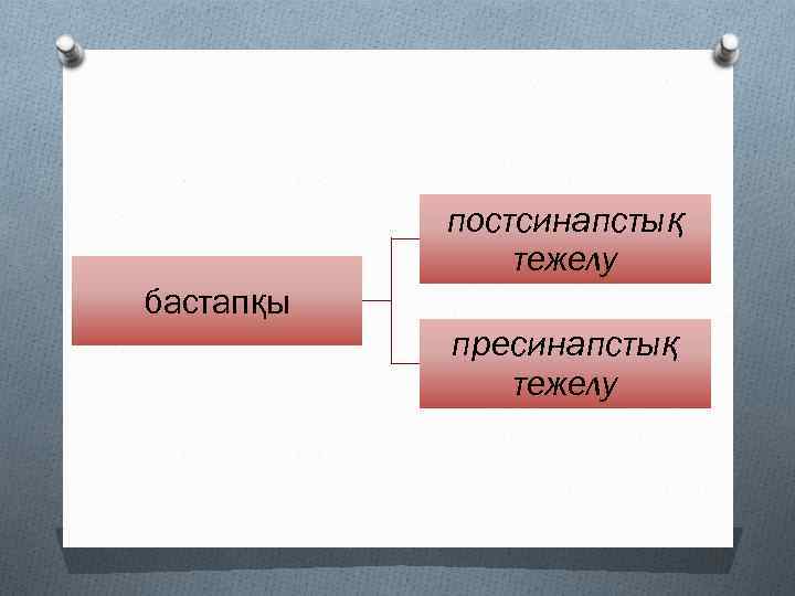 постсинапстық тежелу бастапқы пресинапстық тежелу 