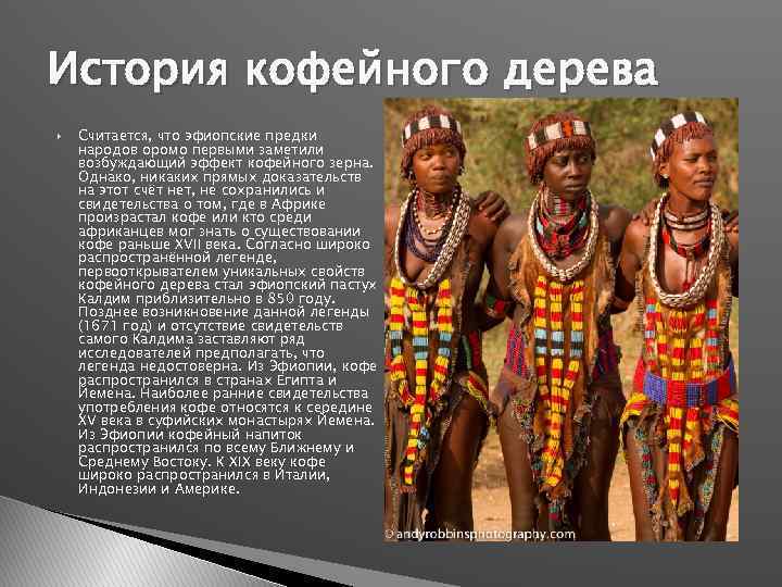 История кофейного дерева Считается, что эфиопские предки народов оромо первыми заметили возбуждающий эффект кофейного