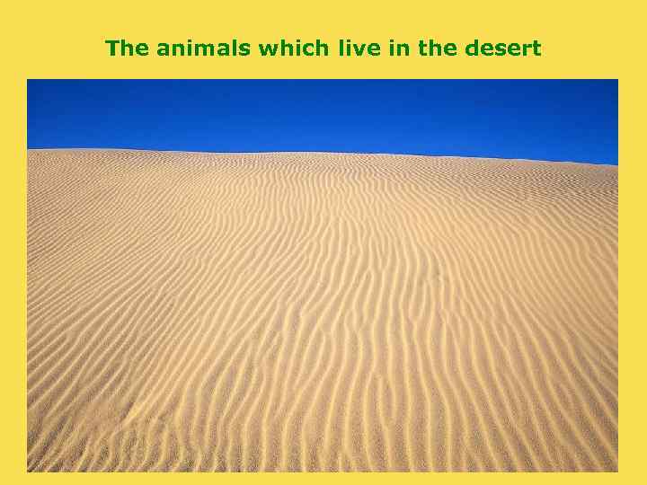 The animals which live in the desert 