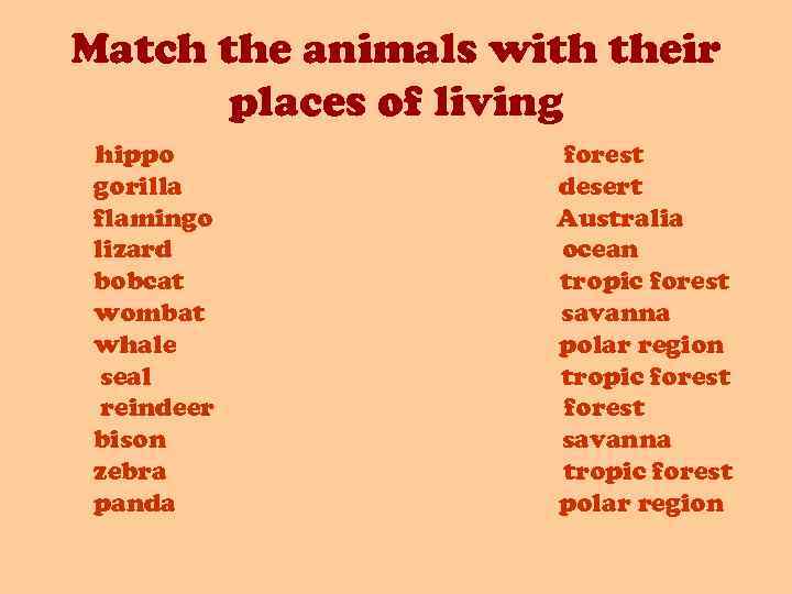 Match the animals with their places of living hippo gorilla flamingo lizard bobcat wombat
