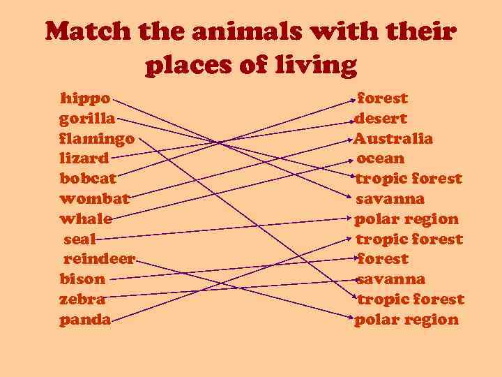 Match the animals with their places of living hippo gorilla flamingo lizard bobcat wombat