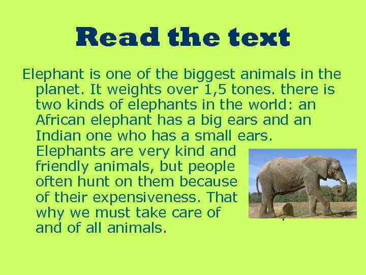Read the text Elephant is one of the biggest animals in the planet. It