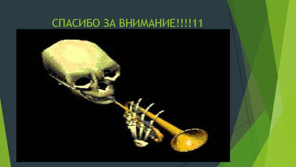 СПАСИБО ЗА ВНИМАНИЕ!!!!11 