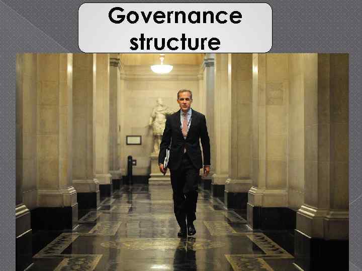 Governance structure 
