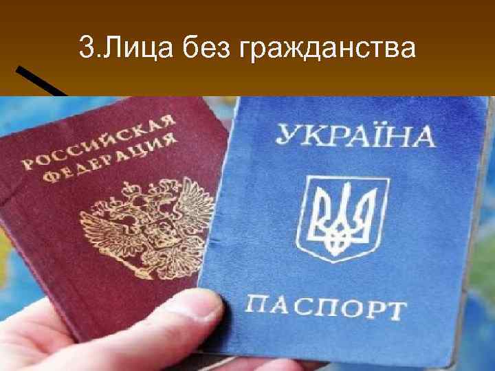 3. Лица без гражданства 