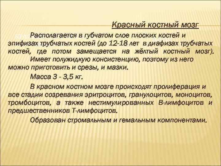 Красный костный мозг Располагается МОЗГ КРАСНЫЙ КОСТНЫЙ в губчатом слое плоских костей и ТИМУС