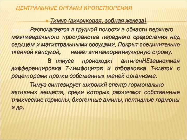 ЦЕНТРАЛЬНЫЕ ОРГАНЫ КРОВЕТВОРЕНИЯ Тимус (вилочковая, зобная железа) Располагается в грудной полости в области верхнего