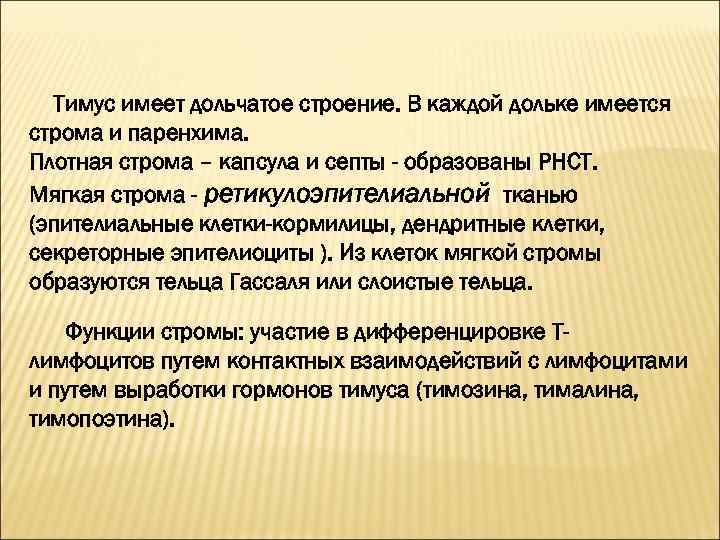 Тимус имеет дольчатое строение. В каждой дольке имеется строма и паренхима. Плотная строма –