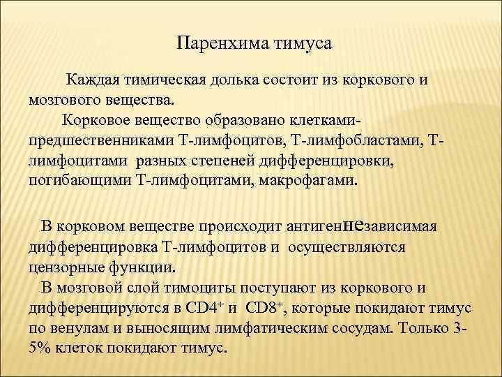 Паренхима тимуса Каждая тимическая долька состоит из коркового и мозгового вещества. Корковое вещество образовано