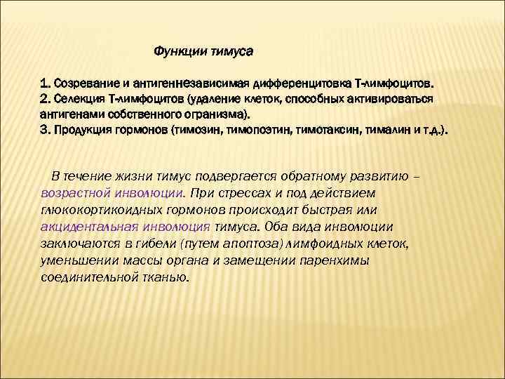 Функции тимуса 1. Созревание и антигеннезависимая дифференцитовка Т-лимфоцитов. 2. Селекция Т-лимфоцитов (удаление клеток, способных