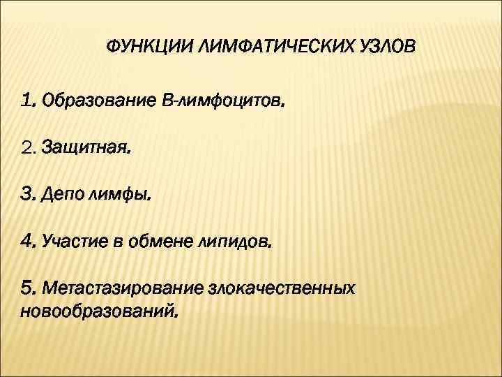 ФУНКЦИИ ЛИМФАТИЧЕСКИХ УЗЛОВ 1. Образование В-лимфоцитов. 2. Защитная. 3. Депо лимфы. 4. Участие в