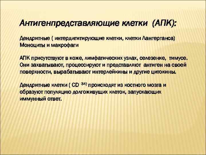 Антигенпредставляющие клетки (АПК): Дендритные ( интердигитирующие клетки, клетки Лангерганса) Моноциты и макрофаги АПК присутствуют