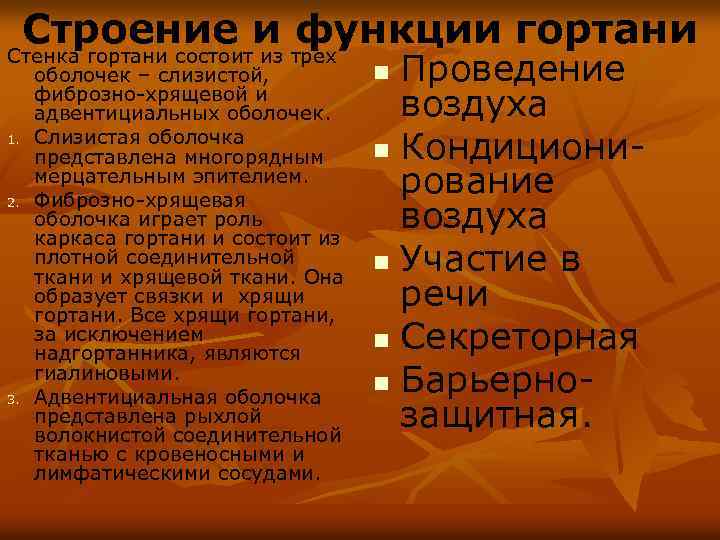 Строение и трех функции гортани Стенка гортани состоит из 1. 2. 3. оболочек –
